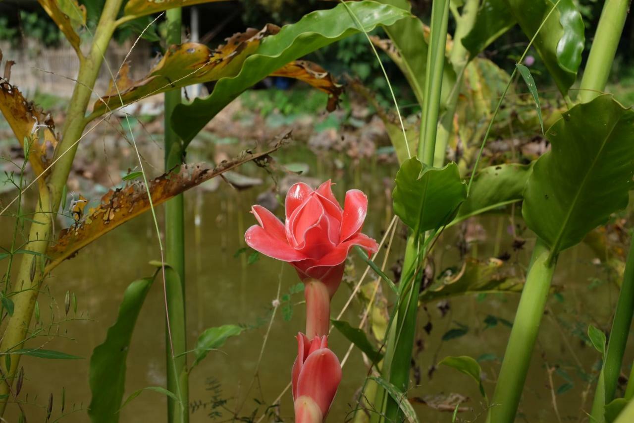 شقة Rai Boonsom Phrao المظهر الخارجي الصورة