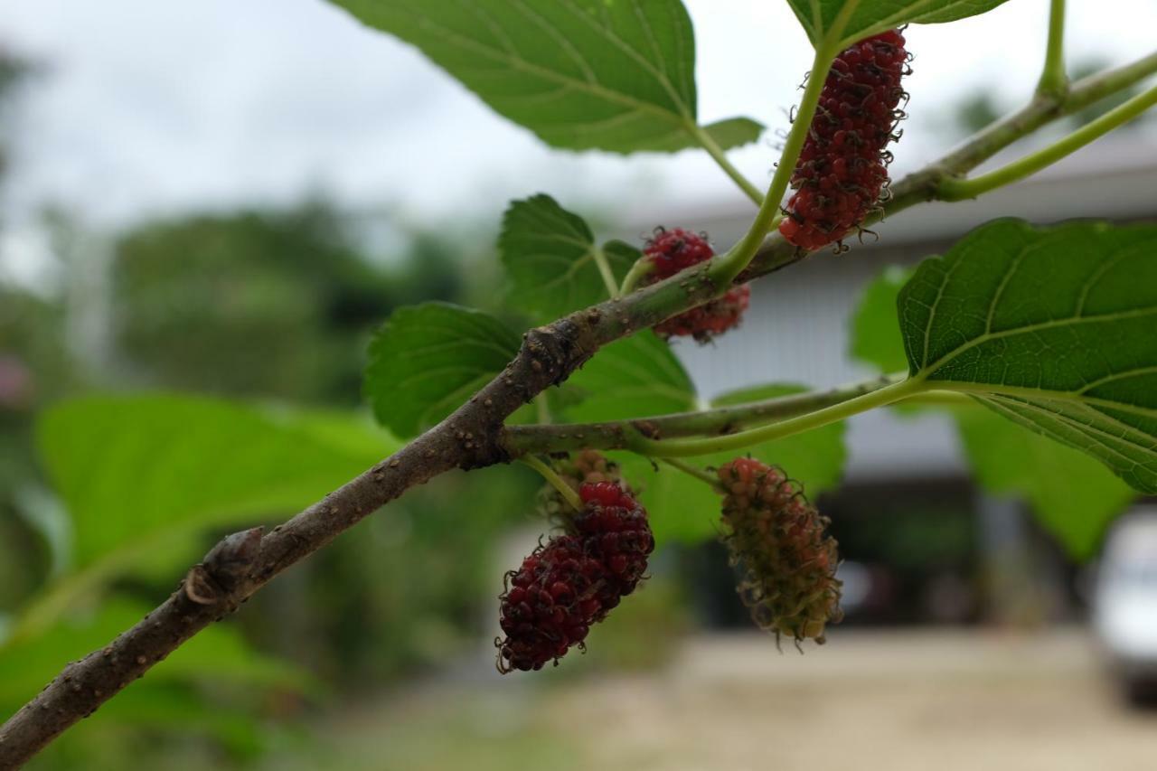 شقة Rai Boonsom Phrao المظهر الخارجي الصورة